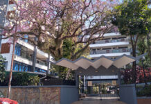 Denuncia contra un estudiante del Montoya: otra alumna declaró haber sufrido acoso
