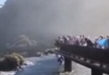La tajante decisión que tomó el Parque Iguazú con el turista que se tiró al agua para recuperar su celular