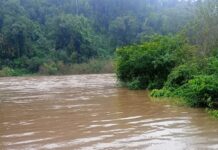 Cerraron el acceso al Parque Provincial Moconá por la crecida del arroyo Yabotí