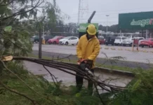 Desplegaron un operativo de limpieza y asistencia por las lluvias en Posadas