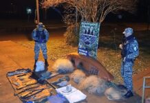 Caza furtiva: secuestraron armas y restos de fauna protegida en Puerto Piray