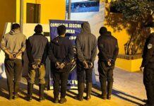 Detuvieron a cinco cazadores furtivos armados dentro de un predio forestal