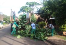 Avanza el Operativo Integral de Poda en los barrios de Posadas