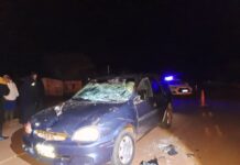 Un automovilista chocó contra un caballo sobre la Ruta 204