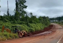 Vialidad trabaja en la limpieza y perfilado de banquinas sobre la ruta provincial 17