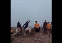 Escándalo y violencia en una carrera: jinetes atacaron a corredores y les exigieron dinero para pasar