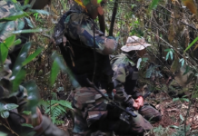 Encontraron restos óseos en el Parque Nacional Iguazú: investigan si corresponden a un hombre desaparecido hace casi un año
