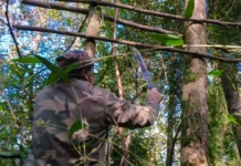 Ecología desarticuló puestos de caza furtiva en un área natural protegida