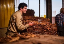 Misiones confirmó nuevo pago del FET superior a los $2.600 millones