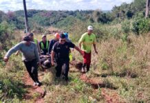 Un accidente laboral durante la poda de un árbol dejó a un trabajador gravemente herido en Loreto