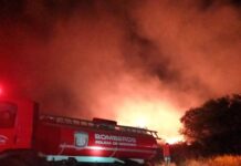 Bomberos combatieron durante más de ocho horas un incendio que arrasó 10 hectáreas de malezas en Posadas