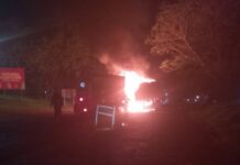 Un camión se incendió sobre la Ruta 12 en Santo Pipó