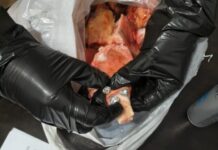 Frustraron el ingreso de cocaína a una dependencia policial de Iguazú: estaba escondida en carne