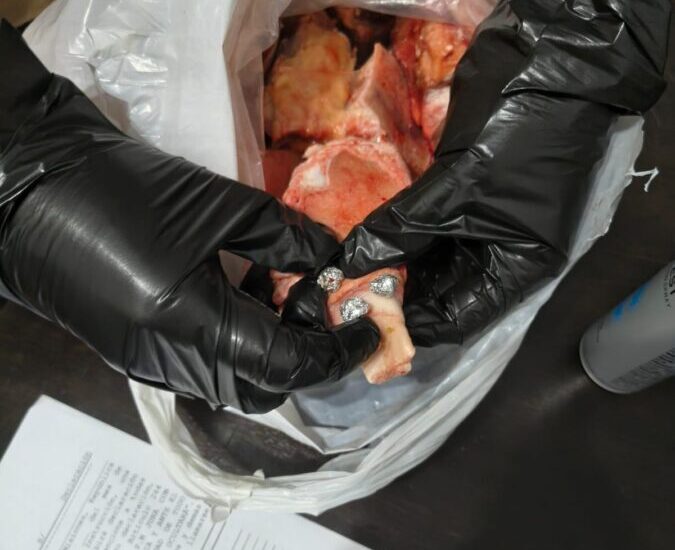 carne-y-cocaina-2-e1786108717147