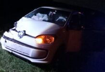 Un automóvil impactó contra un caballo en Posadas