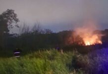 Un incendio de gran magnitud en un descampado fue sofocado por Bomberos en Posadas