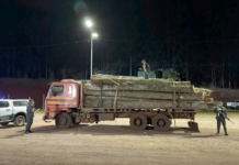 Dos de Mayo: secuestraron 20 rollos de madera nativa extraídos de forma ilegal