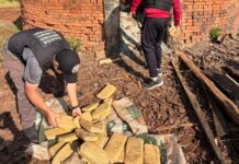 La Policía incineró más de 700 kilos de droga secuestrados en procedimientos en Misiones