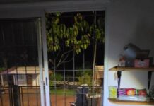 La Policía lo sorprendió dentro de un comercio mientras tomaba una cerveza y elegía qué robar