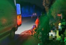 Una tacuara caída sobre la ruta provocó el despiste de dos motos y dejó cinco personas hospitalizadas