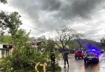 Temporal en Misiones: relevamientos y asistencia en El Soberbio, Gobernador Roca y Corpus