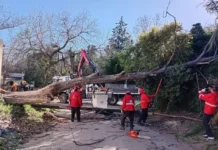 Temporal dejó destrozos y daños materiales en tres provincias