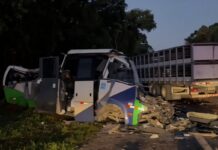 Choque frontal entre un camión y un minibús dejó 23 muertos en el sur de Brasil