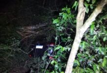 Perdió el control de su automóvil y terminó fuera de la Ruta 12 en San Ignacio