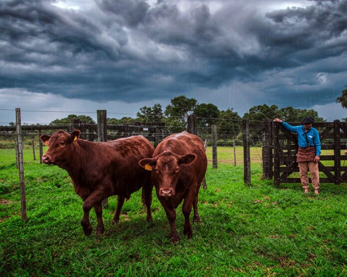 Recomendaciones-Agro-ganado-inundaciones-02-1024x819