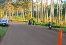 Un motociclista murió tras despistar sobre la ruta provincial 212 en Caraguatay