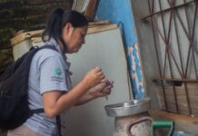 Prevención del dengue: harán relevamiento en más de 6 mil viviendas de Posadas