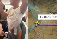 Un avión con destino a Israel aterrizó de emergencia en Arabia Saudita: el copiloto apuñaló a su compañero