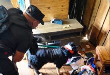 Allanaron una vivienda por robos de motos y “Ayna” detectó drogas fraccionadas