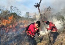 Bomberos extinguieron el incendio en Campo San Juan tras más de 17 horas de trabajo y 134 hectáreas afectadas