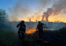 Bomberos trabajan para contener un incendio que ya afectó 25 hectáreas en la reserva federal Campo San Juan