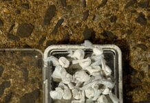 Detuvieron a un vendedor de drogas con 17 dosis de cocaína en el barrio Miguel Lanús de Posadas