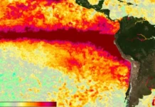Alerta por el fenómeno de El Niño: la ONU advirtió que será muy fuerte y se extenderá hasta febrero
