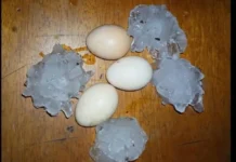 Intensa granizada afectó a Piñalito Norte, Paraje San Martín y San Antonio