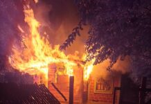 Bomberos actuaron ante dos incendios y un árbol caído en distintos puntos de la provincia