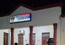 Había recuperado la libertad hace tres días y terminó detenido cuando intentaba robar un comercio