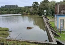 Brasil: 170 personas fueron evacuadas ante el posible colapso de una represa en Rio Grande do Sul