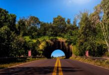 Miércoles con mañana fría y tarde templada en Misiones