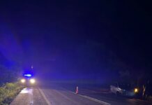 Desvió un animal, perdió el control y despistó en la Ruta 12
