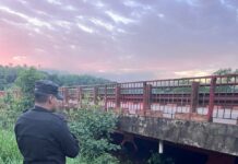 Bajan los ríos, las familias regresan paulatinamente a sus viviendas y se habilita el tránsito en la Ruta 12