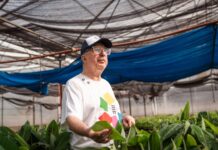 Biofábrica Misiones cumple dos décadas de innovación para la chacra misionera