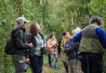 Volar 2026: Referente chilena llega a Misiones con una iniciativa que abre nuevos caminos