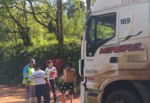 Rápida intervención policial permitió interceptar a un camionero que zigzagueaba sobre la Ruta 14