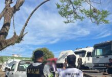 Allanamientos en Posadas terminaron con dos camiones secuestrados y un abogado detenido
