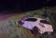 Vehículo despistó sobre la Ruta 12: no hubo lesionados