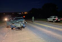 San José: un automóvil chocó contra una vaca en la Ruta 14